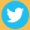 cyndi twitter